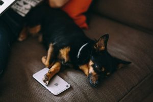 SNSのススメ 2