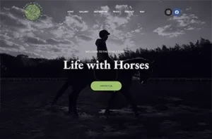 ステーブルコンフィー