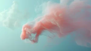 新しくwebサービスをはじめたい